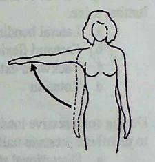 <p>Referring to motion of the shoulder, the drawing at right depicts ___________.</p><p>a. Adduction </p><p>b. Abduction </p><p>c. Internal rotation </p><p>d. External rotation </p><p>e. Flexion</p>