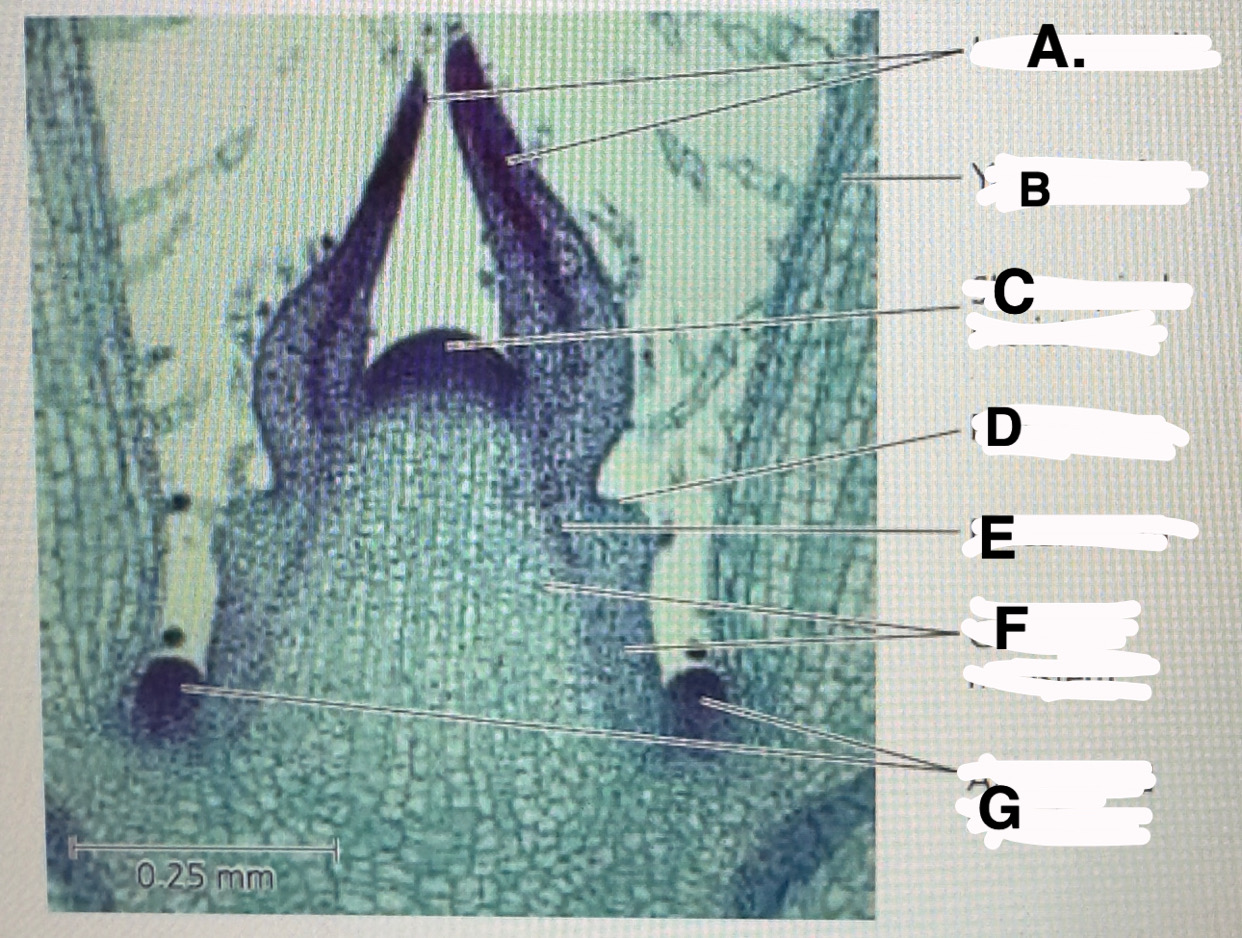 <p>e</p>