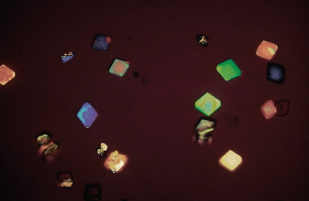 <p>Identify the urine sediment element shown and what perspective it is in</p>