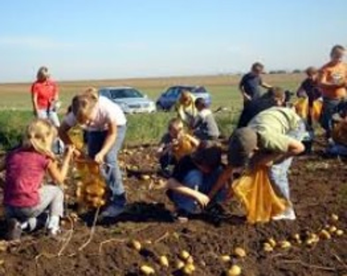 <p>to harvest, reap</p>