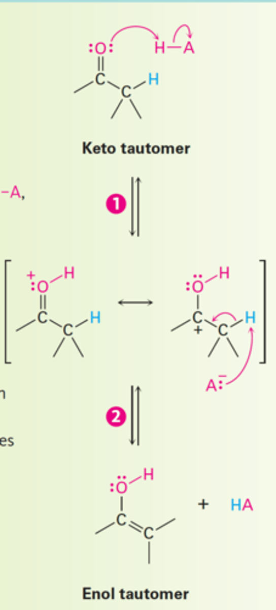 <p>How does acid-catalyzed keto-enol tautomerism of carbonyl compounds occur?</p>