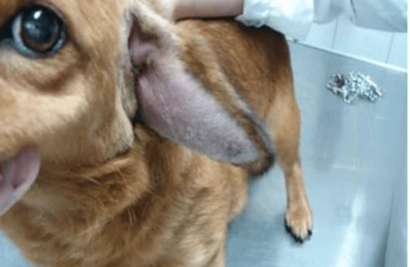 <p>what is this called?</p>