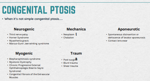 <ul><li><p><span>Most common type of ptosis, often myogenic (muscle weakness) in nature and present at birth (but can start to develop into early ages).</span></p></li><li><p><span>Usually idopathic</span></p></li><li><p><span>Amblyopia Risks: Anisometropia due to induced astigmatism or visual axis obstruction.</span></p></li><li><p><span>Surgical intervention is typically reserved for significant cases affecting vision.</span></p></li></ul><p></p>