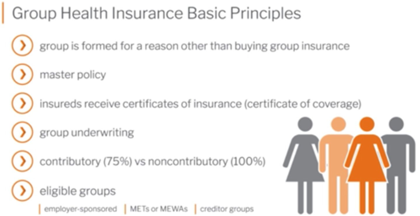 FIN161 Personal Finance Combined Quizlet in Preparation for the 2nd