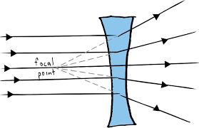 <p><span>Name the type of lens in this image</span></p>