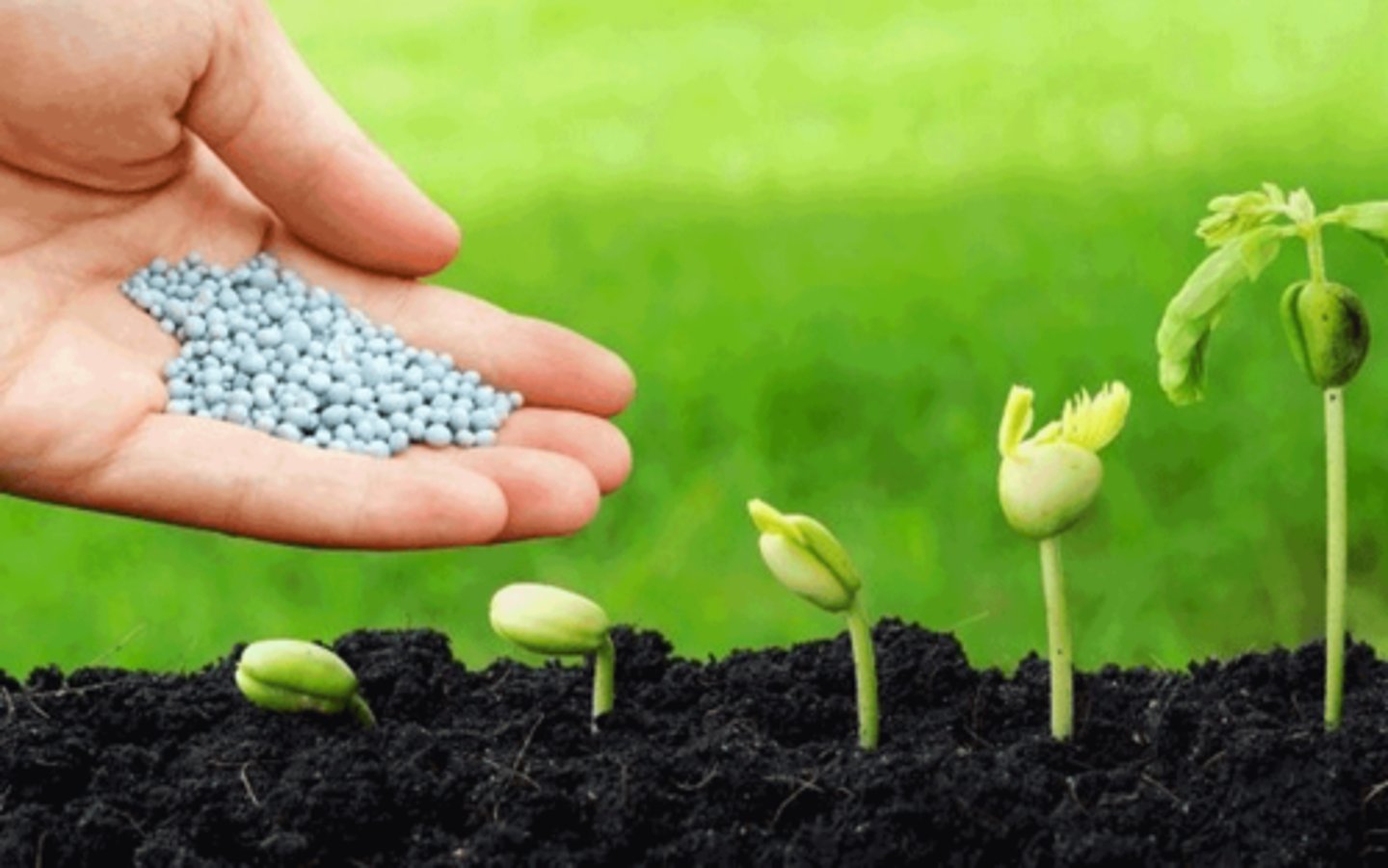 <p>/ˈfɜːtəlaɪz/ (v)<br>to add a substance to soil to make plants grow more successfully<br>They had unfortunately settled on an extremely fragile island - dry, cool, and too remote to be properly fertilised by windblown volcanic ash</p>