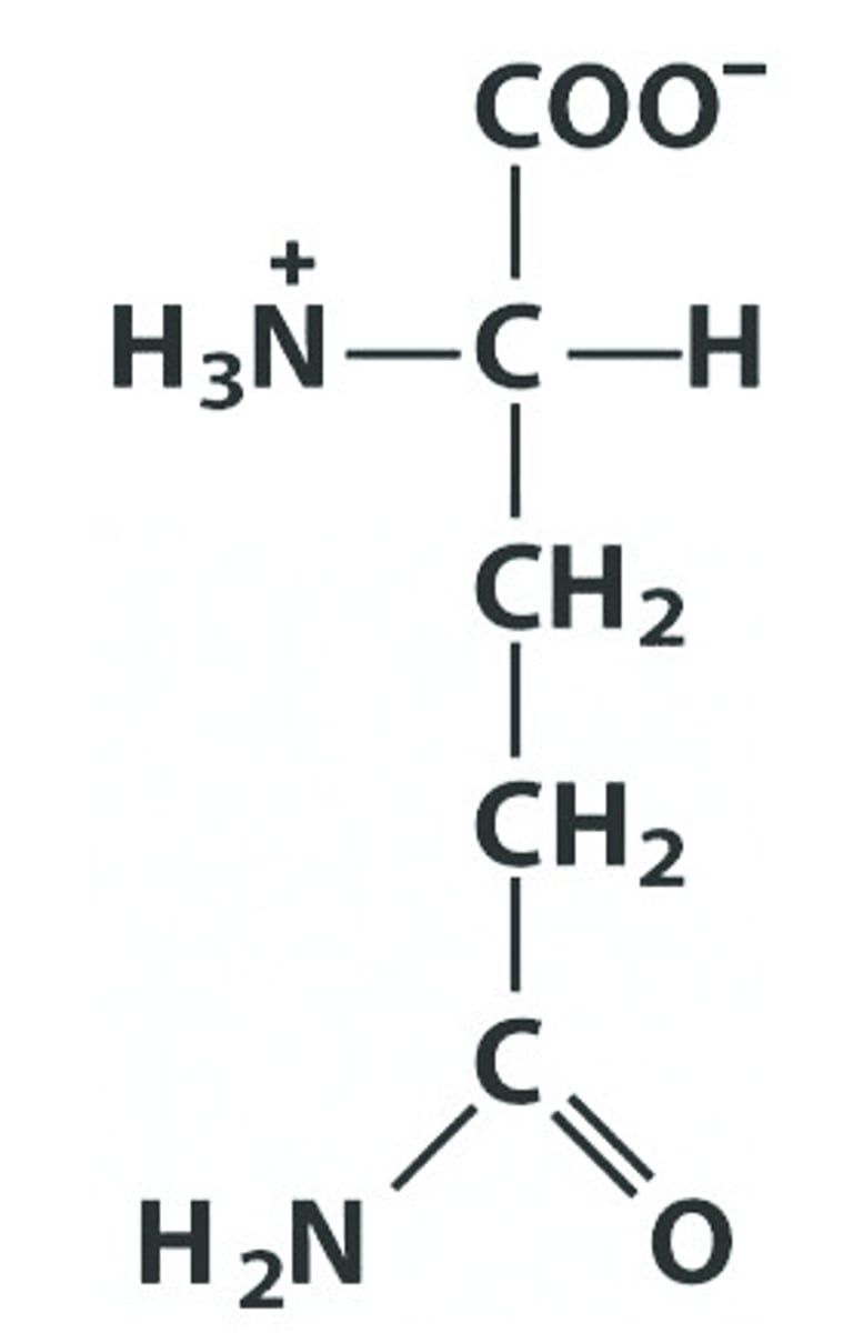 <p>Give the symbol, abbreviation, Name of this amino acid</p>