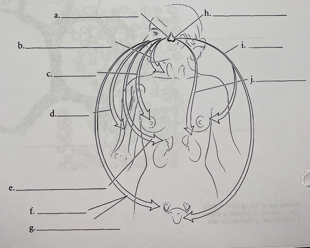 <p>find i.</p>