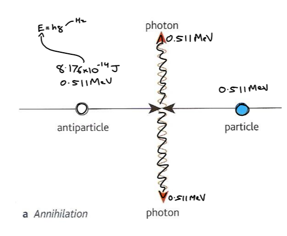 <p>particle and corresponding antiparticle colliding</p><p>Mass and kinetic energy converted to 2 gamma photons with the same frequency </p><p>They move off in opposite directions </p><p>They conserve momentum </p>