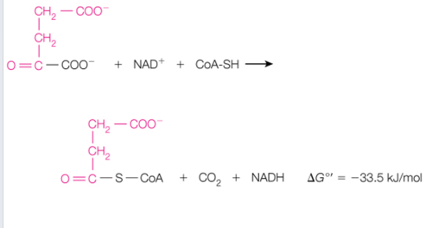 <p>step 4 of the CAC is the _______ dehydrogenase reaction. this is when ______ get removed and replaced by _______ to create. what kind of reaction is this?</p>