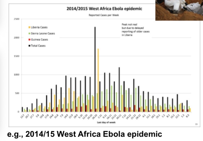 <ul><li><p>beginning slowly and then accelerating until the number of cases peaks before they decline again</p></li><li><p>Looks like ‘wave’</p></li></ul><p></p>