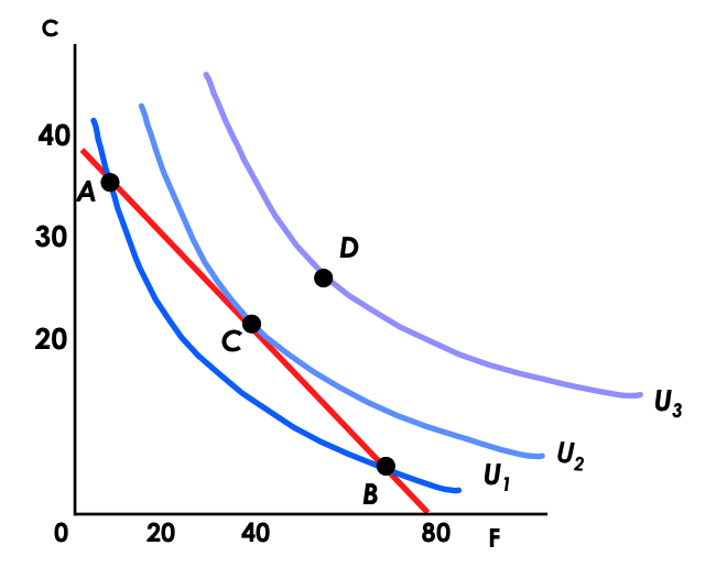 <p>Choose consumption such that utility is maximised under the budget constraint.</p><p>Indifference curve is tangent to budget line. (MRS=MRT).</p>