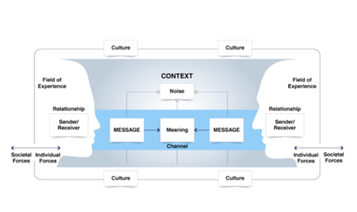 <p>Transactional model + individual, cultural, and societal forces</p>