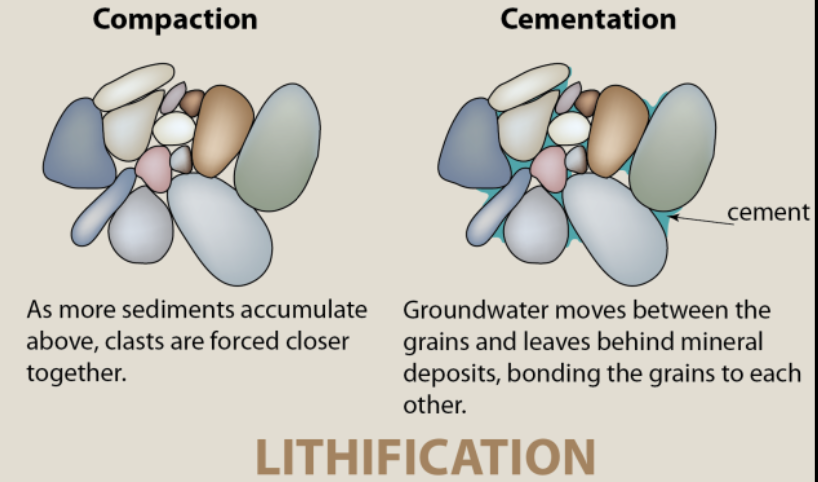 <p><strong>ROCK CYCLES:</strong></p><p>process where these <strong>sediments harden to become sedimentary rocks</strong></p>