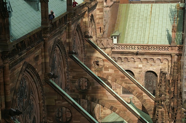 <p>Buttress</p>