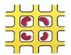 <p>Enzyme is trapped in silica gel matrix</p>