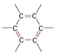 <p>Carbon-Carbon <u>single</u> and <u>double</u> bonds in aromatic ring</p>