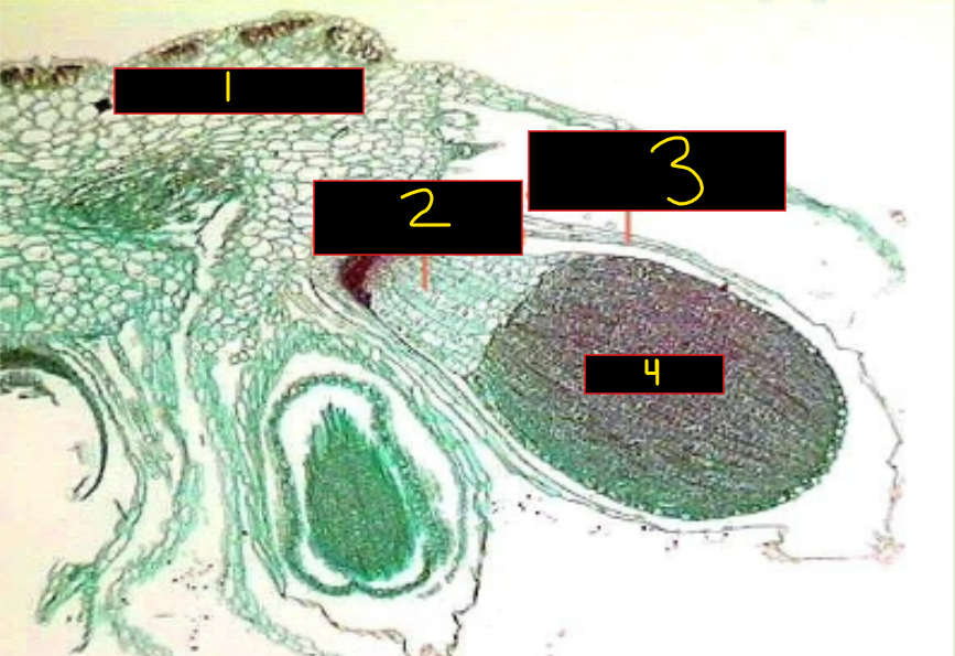 <p>What is 4? </p>