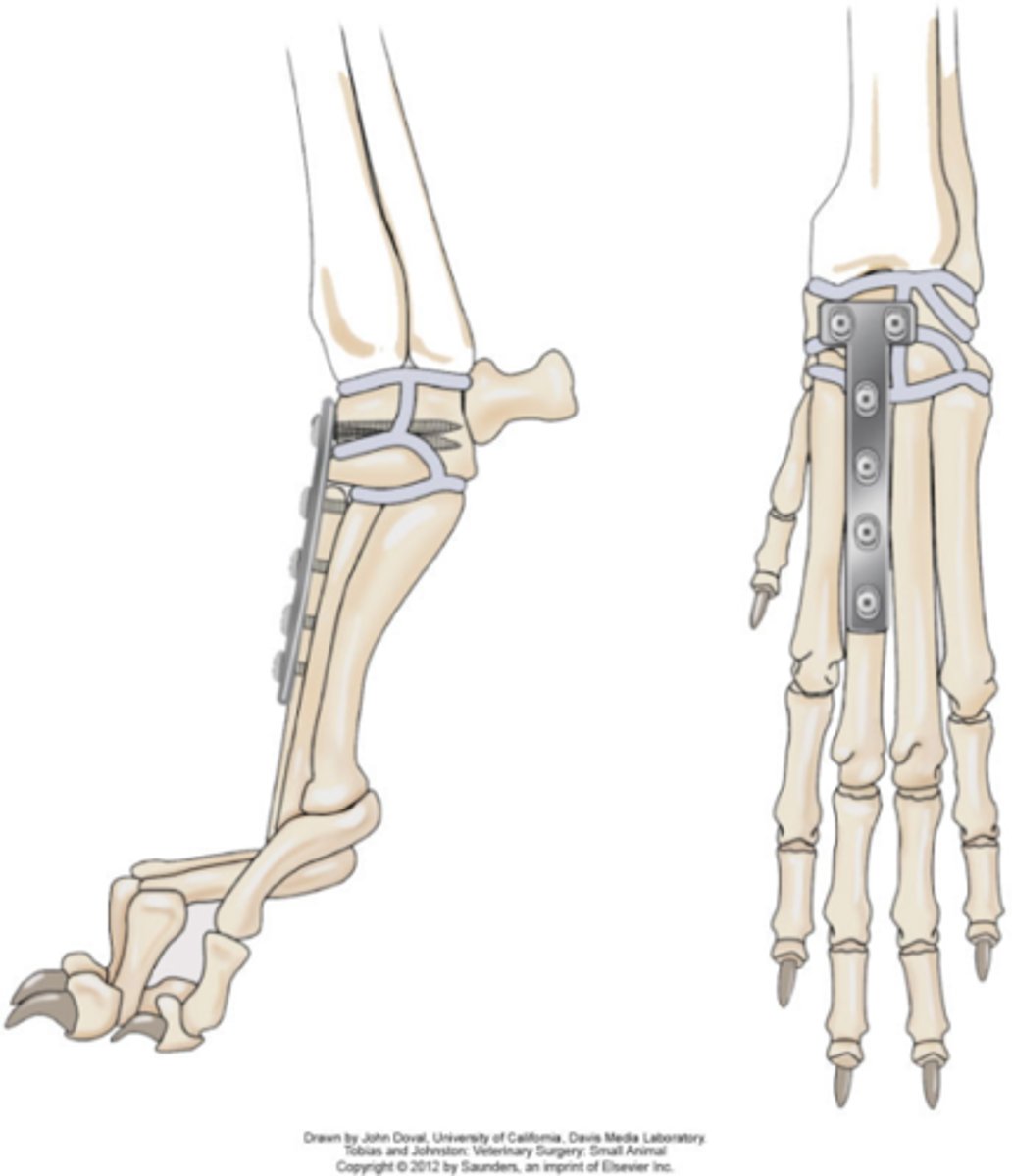 <p>How can you treat carpal hyperextension when radiocarpal is normal?</p>