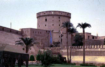 term image