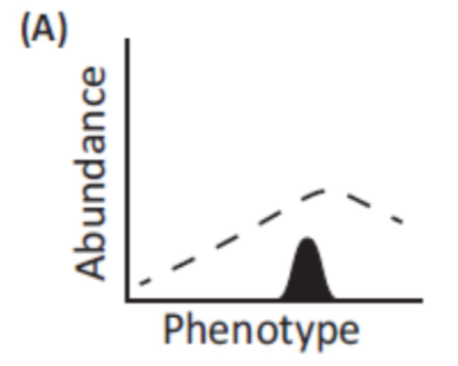 <p>What does this graph represent?</p>