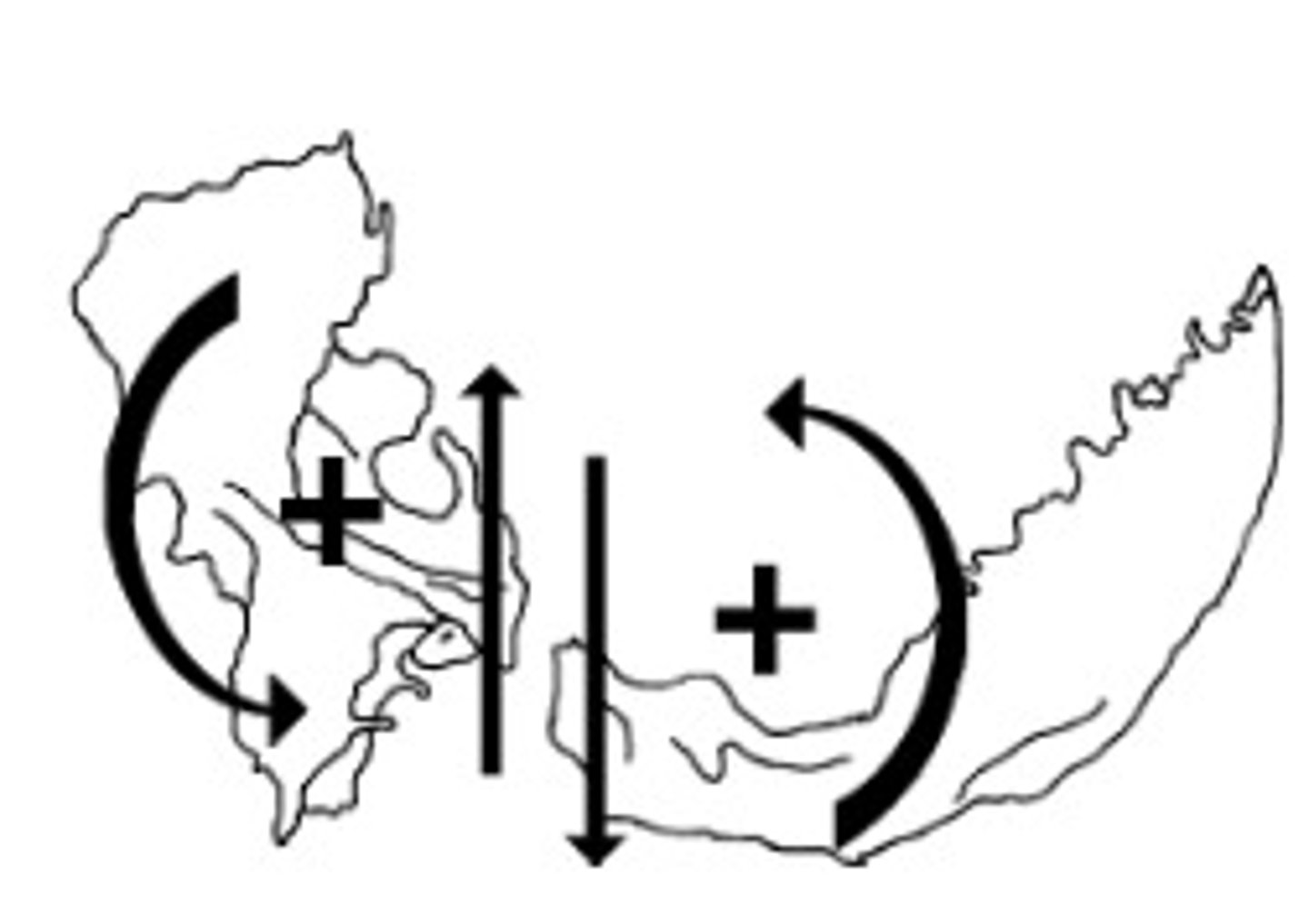 <p>What are the axes for Vertical Strain?</p>