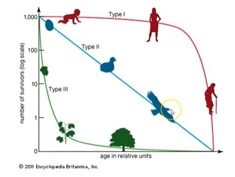 describe reproductive strategies of organisms