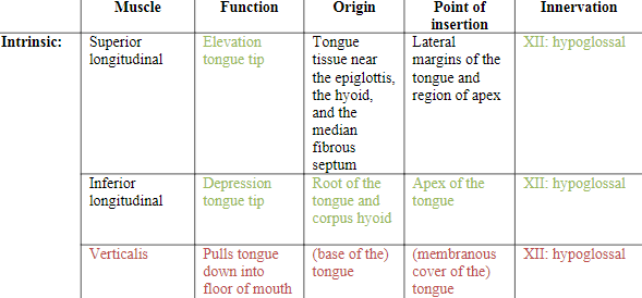 <ul><li><p><strong>Superior longitudinal muscle</strong>: elevates tongue tip</p></li><li><p><strong>Inferior longitudinal muscle</strong>: depresses tongue tip</p></li><li><p><strong>Verticalis</strong>: pulls tongue down into floor of mouth</p></li></ul>