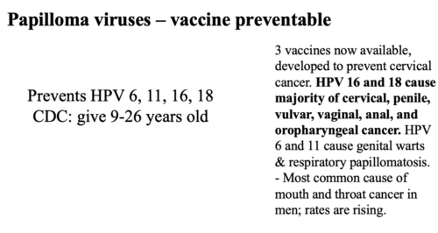 <p>HPV 6 and 11</p>