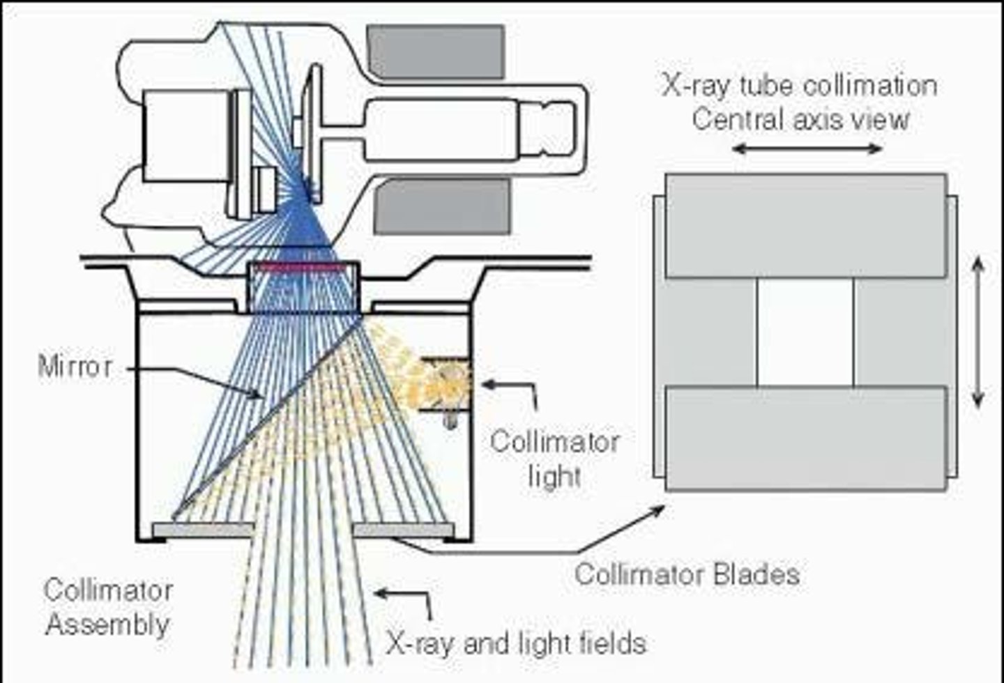 <p>The process of restricting the x-ray beam to the area of interest to reduce exposure and maintain image quality.</p>
