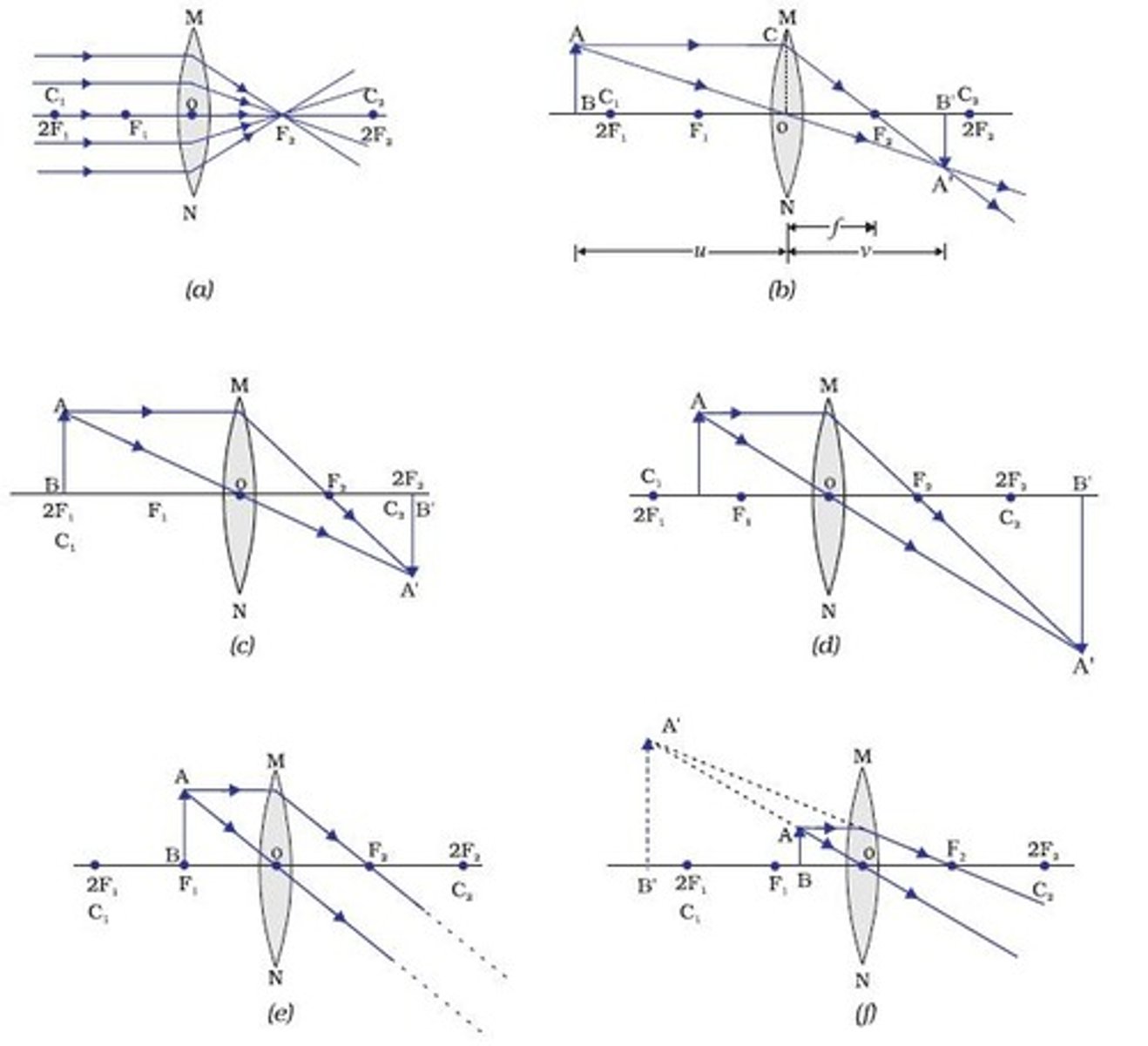 <p>1. Draw principle axis and a lens and an arrow to represent the object</p><p>2. Mark the principle focuses</p><p>3. First ray goes from object to lens then down through the principle focus on the right side</p><p>4. second ray goes from top of object through principle focus</p><p>5. Trace back rays</p><p>6. Draw image where lines meet</p>