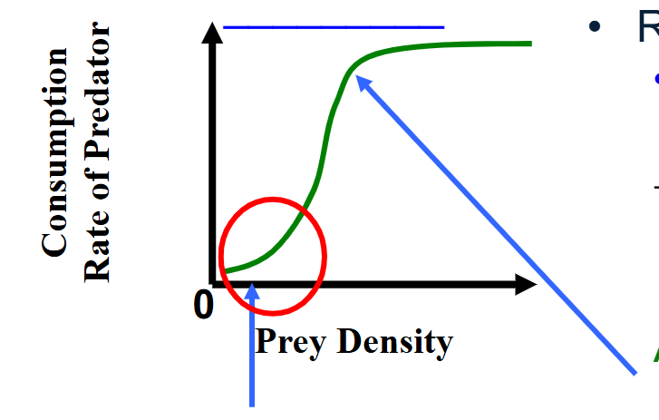 <p>Exponential</p><ul><li><p>rarely observed</p></li><li><p>search time and handling time vary w/prey density → consumption rate is lower at low prey densities</p></li><li><p>as prey density increase, h &gt; s (same as type 2)</p></li><li><p>at low prey density, search time increases, and handling time = pursue, subdue &amp; ingest prey</p></li></ul><p></p>