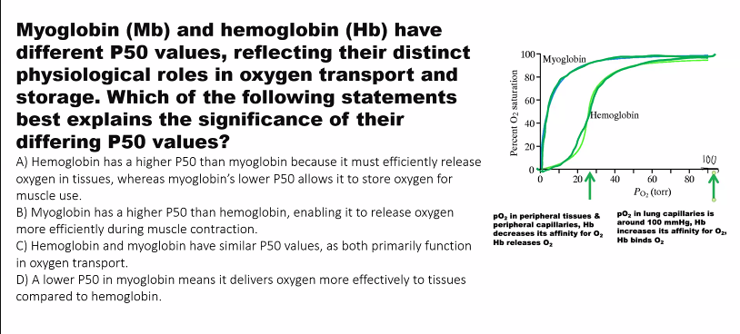 <p>A) hemoglobin has a LOWER p50, so it has a HIGHER AFFINITY. </p>