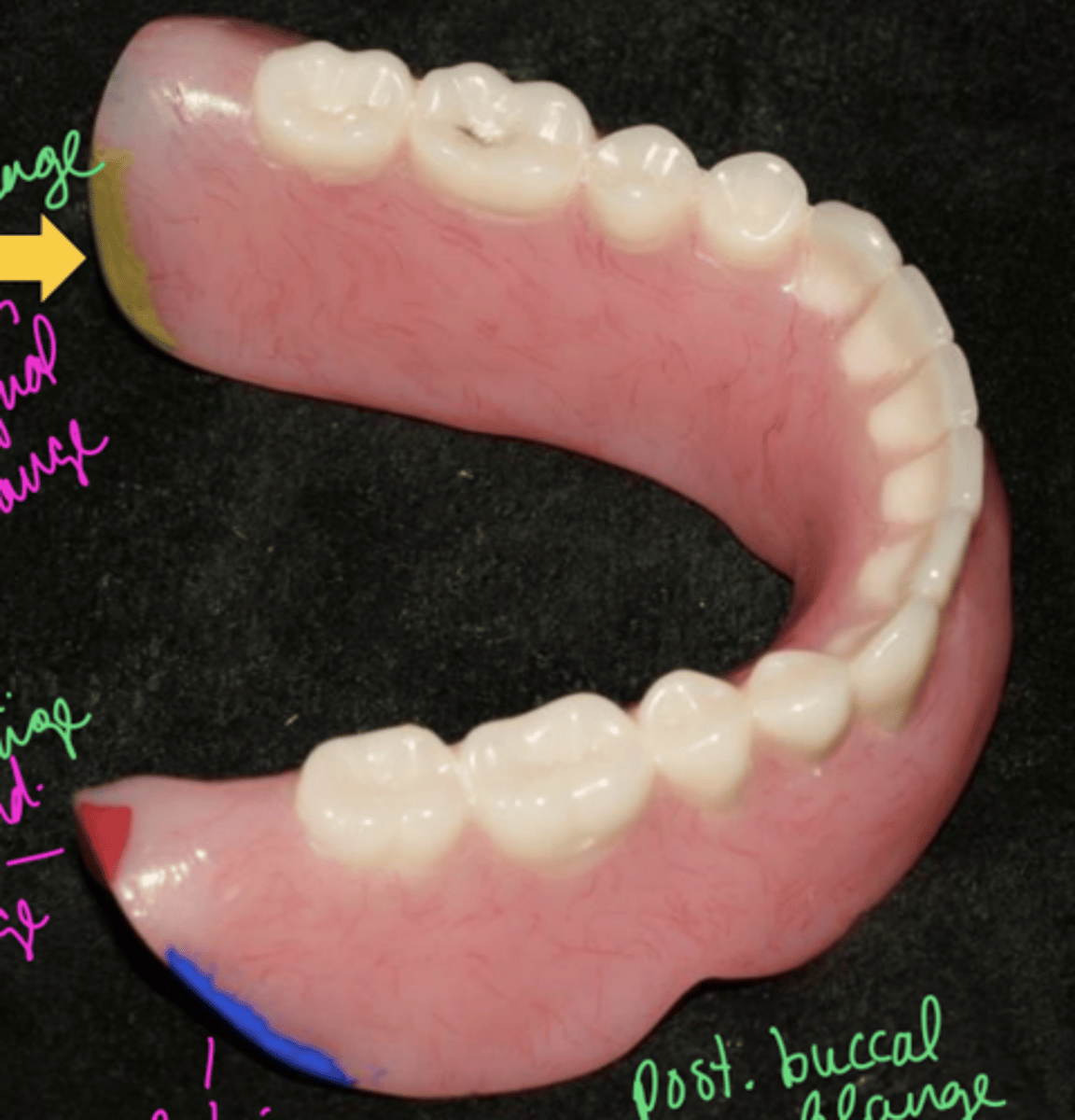 knowt flashcard image