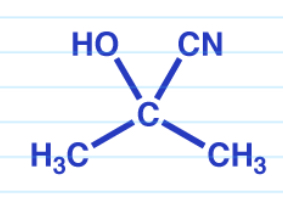<p>DB O becomes OH and a CN is added</p>