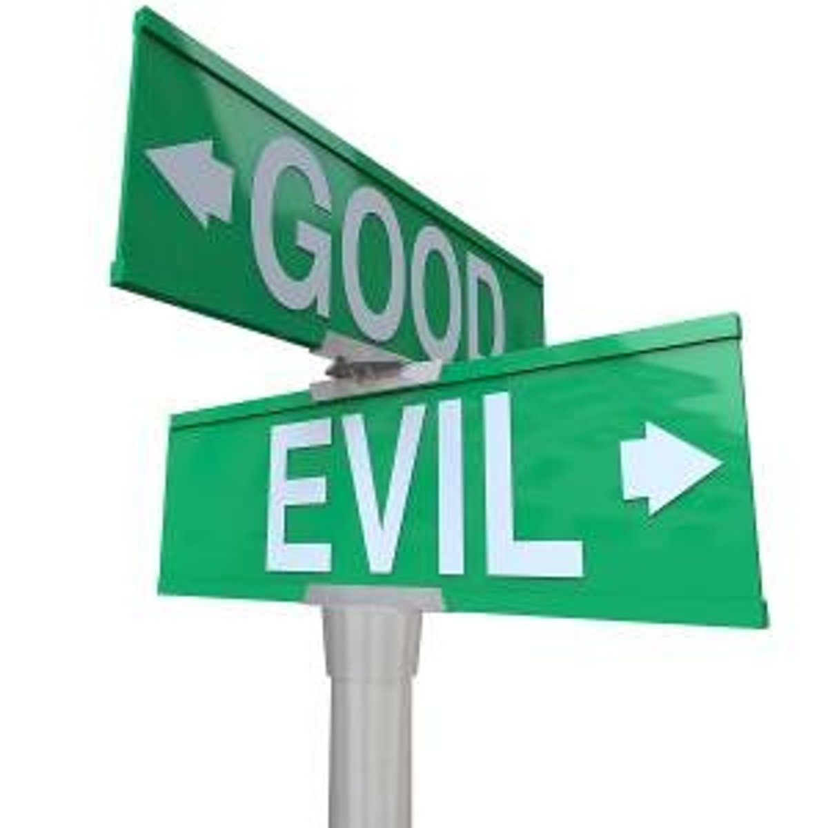 <p>the principles of right and wrong and the standards of right conduct that guide an individual in making decisions</p>