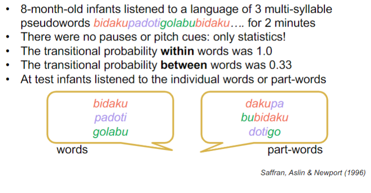 <ul><li><p>infants can segment speech</p></li><li><p>infants preferred the part-words</p></li><li><p>they could distinguish between words and part-words</p></li><li><p>they can use statistical regularities/patterns to learn language</p></li></ul>