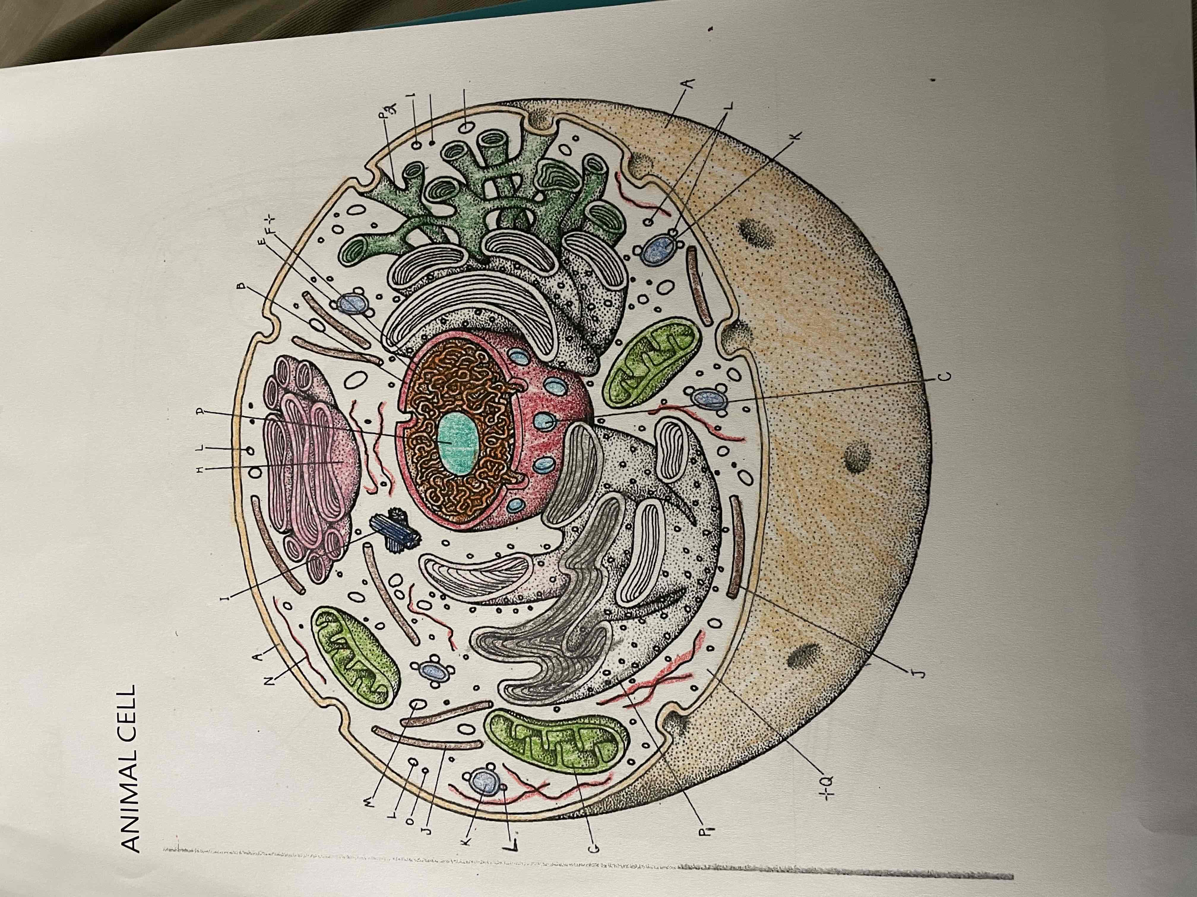 <p>Find I</p>