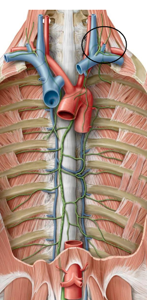 <p>? location&nbsp;</p>