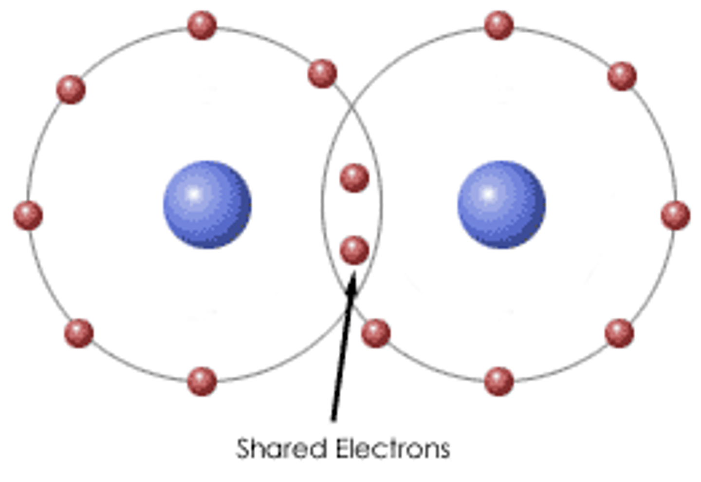 <p>a shared pair of electrons</p>