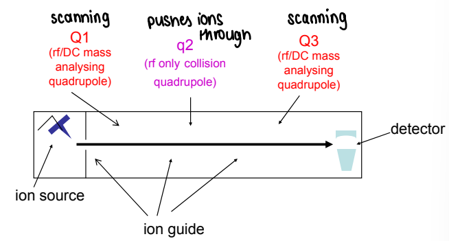 <p>Three quadrupoles are connected in a series (a type of tandem mass spec). This allows two sequential stages of mass spec.</p><ul><li><p>The first quadrupole (Q1) is used as a mass analyser or to select/transmit a single ion.</p></li><li><p>q2 is rf only, therefore it is filled full of gas and ions are pushed through the gas.</p></li><li><p>Q3 is also used as a mass analyser.</p></li></ul><p></p>