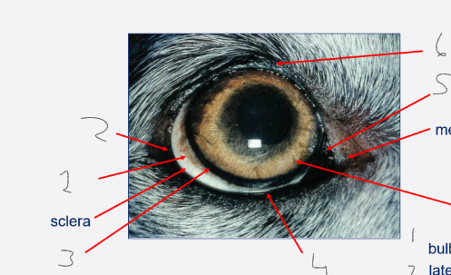 <p>label this diagram</p>