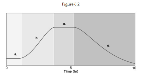 <p>Figure 6.2 shows a typical bacterial growth curve with the y-axis indicating the lod of the number of bacteria and the x-axis indicating time in culture. Which letter represents a growth phase where the number of cells dying equals the number of cells dividing?</p>