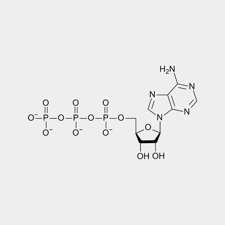 <ul><li><p>Adenosine Triphosphate</p></li><li><p>contains adenine, ribose (5-carbon sugar molecule), and 3 phosphate groups serially bonded</p></li><li><p>contains phosphate which are charged molecules</p></li><li><p>energy high molecule primarily used in cellular and other biological processes</p></li><li><p>energy that can be stored again after use</p><p></p></li></ul><p></p>