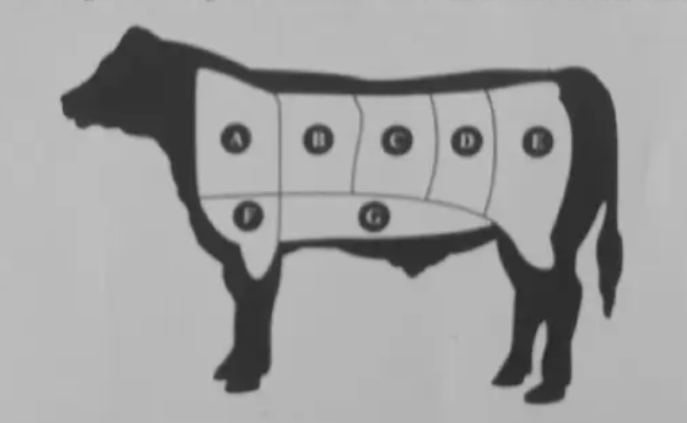 <p>Label the parts A-G</p>