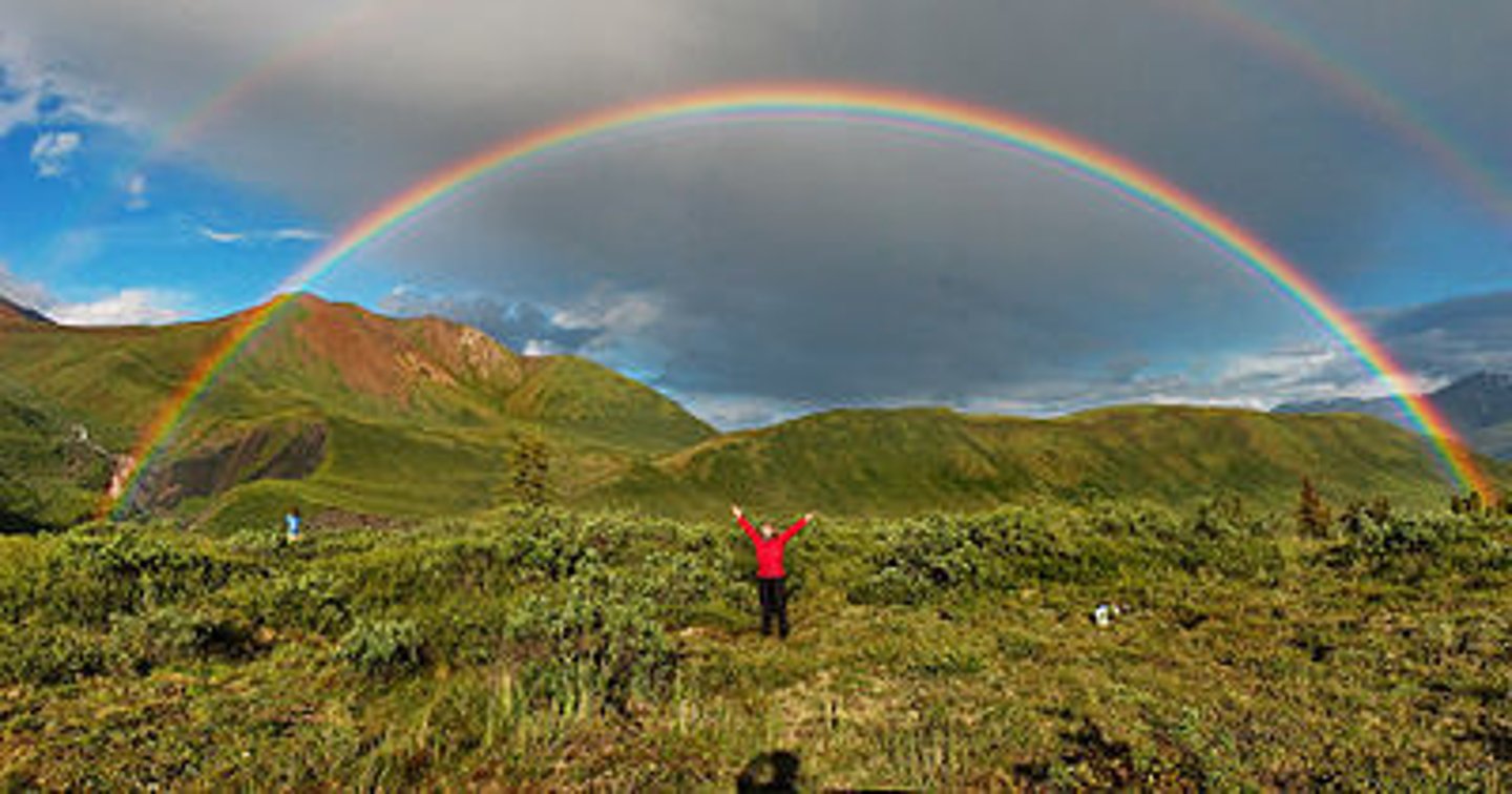 <p>You will see a rainbow. This is due to the constructive and destructive interference that occurs due to reflection off the top interface and the second interface.</p>