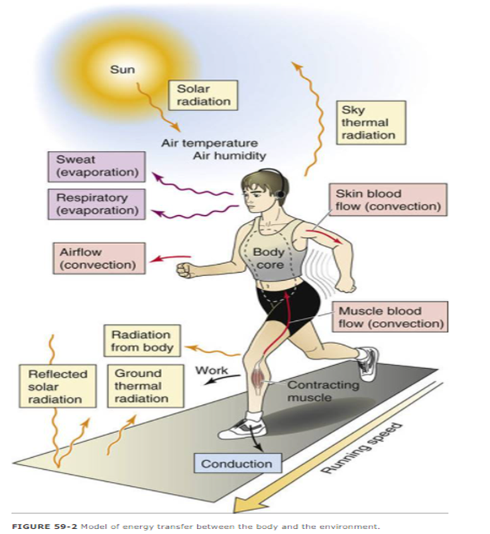 <p>label all the energy sources/thermal types </p>