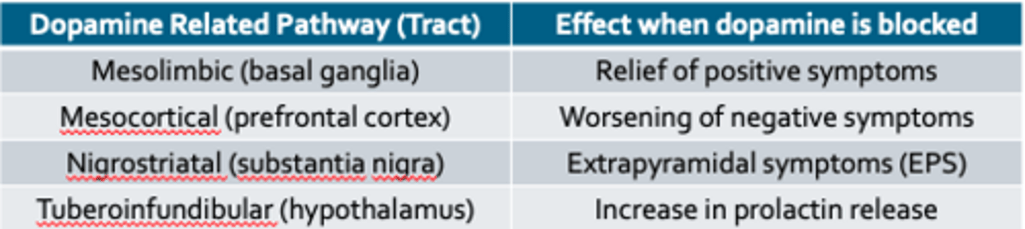 <p>•Not fully understood</p><p>•Associated with many NT</p><p>•Subcortical DA dysfunction = key factor in psychotic sx</p><p>Causes neuroanatomical changes over time</p><p>• various regions of the brain that have been implicated</p><p>• gray matter of the brain is consistently affected</p>
