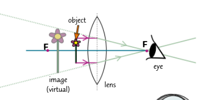 <ul><li><p>Magnifying glasses work by creating a magnified virtual image.</p></li><li><p>The object being magnified must be closer to the lens than the focal length.</p></li><li><p>Since the image produced is a virtual image, the light rays don't actually come from the place where the image appears to be.</p></li><li><p>Remember "you can't project a virtual image onto a screen" - that's a useful phrase to use in the exam if they ask you about virtual images.</p></li><li><p>Magnification = image height/ object height (You can also find the magnification by dividing the distance between the image and the lens by the distance between the object and the lens.)</p></li></ul><p></p>