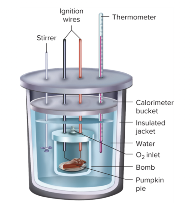 <p>Device used to measure the calorie content of foods and beverages</p>